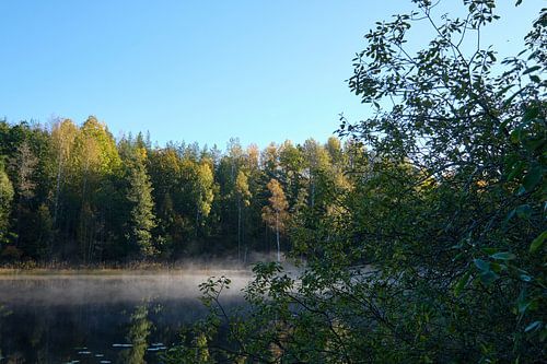 lake in sweden with fog