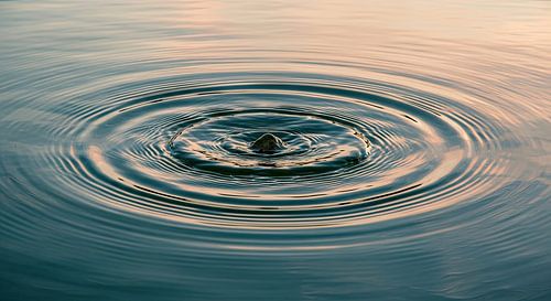 Moment d'impact : Cercle parfait sur Artivisual