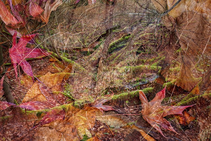 Europäischer Wald von Eugene Winthagen