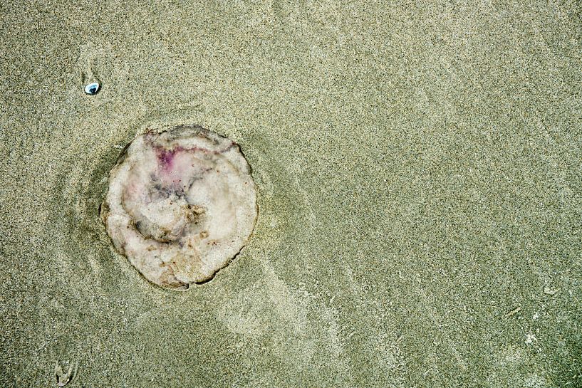 Kwallen op het strand von Jan Peter Mulder