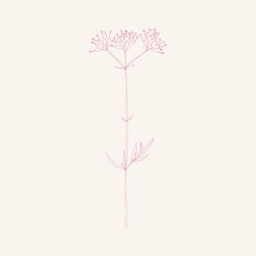 Romantische botanische tekening in neonroze op wit nr. 8 van Dina Dankers