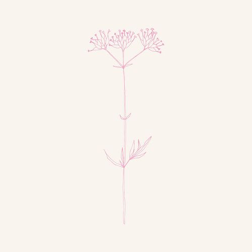 Romantische botanische tekening in neonroze op wit nr. 8