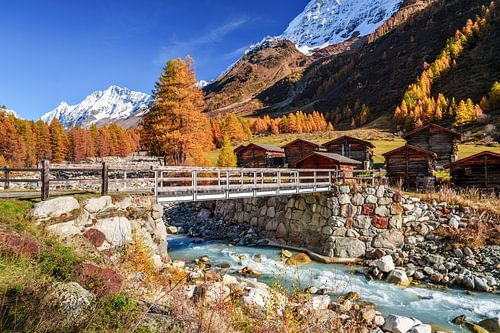 Gouden herfst in het Lötschental - Wallis - Zwitserland
