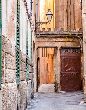 Smal steegje in de oude stad van Palma de Majorca, Spanje van Alex Winter