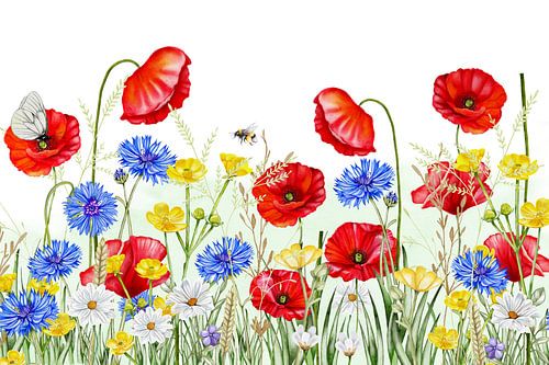 Poppies in the field by Geertje Burgers