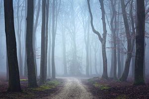 Chemin mystérieux