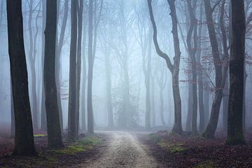 Mysterieus pad van Roelie Steinmann