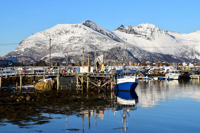 Hafen mit Fischerbooten und Fischern im Gespräch von Studio LE-gals