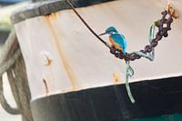 Vogels | IJsvogel bij een boot in de haven van Enkhuizen