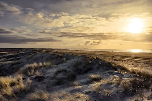 LOST IN HOLLAND (2019-197)