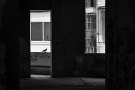 The Engine Resident of the 'Sniper Tower' by Victor van der Kaaij