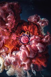 Monblüte im Farbenrausch von Steffen Gierok