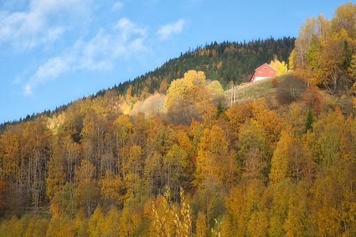 Kleurrijk herfstlandschap met heuvels, bos en rood huis onder blauwe lucht