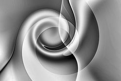 Uitgebalanceerd zwart-wit