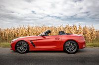 BMW Z4 for cornfield