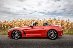 BMW Z4 voor maisveld