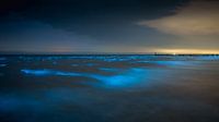 Sea spark in Domburg