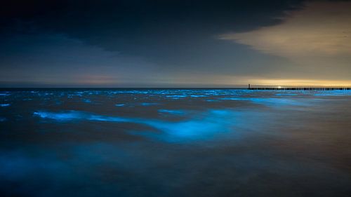 Sea spark in Domburg by Andy Troy