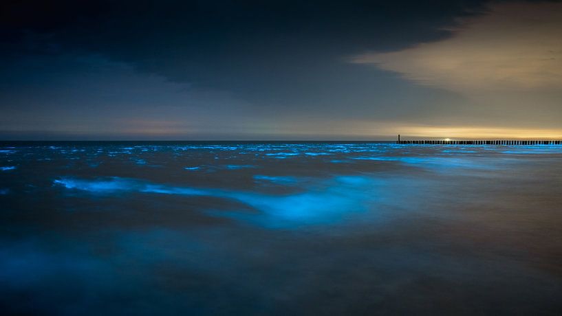 Sea spark in Domburg by Andy Troy