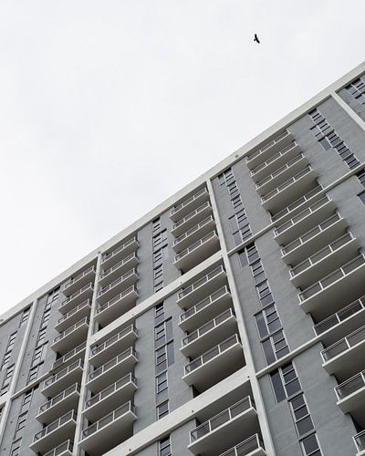 Architecture grise Quartier Art déco Miami | Minimalisme