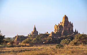 De tempels van Bagan. van Floyd Angenent