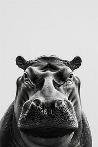Nilpferd