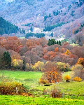 Herfstkleuren Auvergne 07