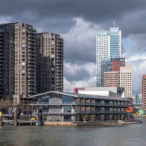 Skyline Rotterdam Kop van Zuid: view of the Wilhelmina Pier (6) by Rick Van der Poorten