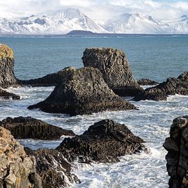Coast of Iceland in winter by Andreas Hackl
