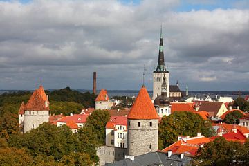 Ausblick vom Domberg auf die Unterstadt, Altstadt mit der Olaikirche oder Oleviste Kirik, und den T�