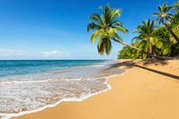 Plage de rêve dans les Caraïbes