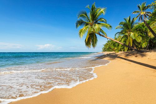 Droomstrand in de Caraïben