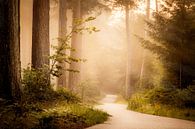 Morning - landschap van Studio Caro West thumbnail