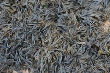 Effet de peinture à l'huile d'algues