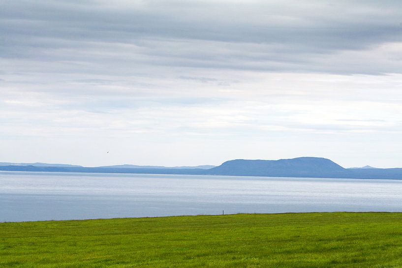 The grass is always greener in Iceland by Vera Vondenhoff