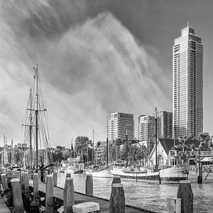 Aan de Veerhaven in Rotterdam | Monochrome van Melanie Viola