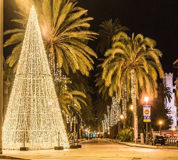 Verlichte kerstboom in de stad Palma de Majorca van Alex Winter