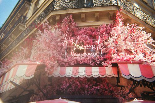 Analogue summer - Paris