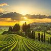 Weinberge bei Sonnenuntergang in der Alta Maremma. Toskana von Stefano Orazzini