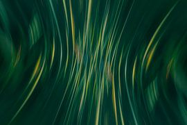 Helmgras Abstract van Yanuschka | Fotografie Noordwijk