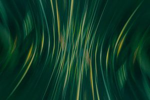 Helmgras Abstract