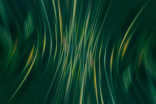 Helmgras. Abstract