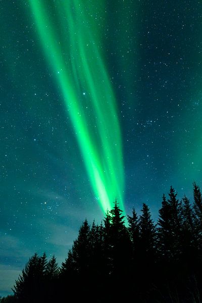Nordlichter über den Lofoten Inseln in Norwegen von Sjoerd van der Wal