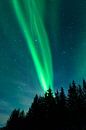 Nordlichter über den Lofoten Inseln in Norwegen von Sjoerd van der Wal Miniaturansicht