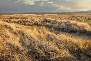 Winter in the dunes on Sylt by Christian Müringer