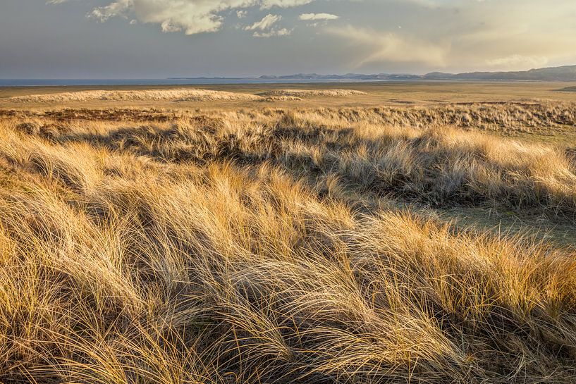 Winter in the dunes on Sylt by Christian Müringer
