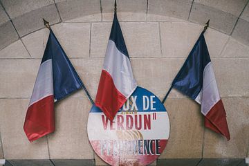Verdun Memorial Frankrijk van Luis Emilio Villegas Amador