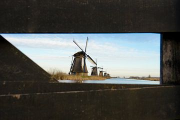 kinderdijk