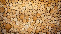 Houten wand