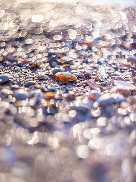 Bokeh shells by Yanuschka | Fotografie Noordwijk